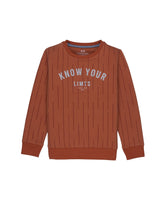printed sweatshirt for boys